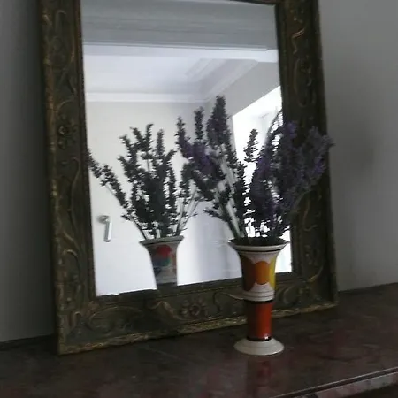 住宿加早餐酒店 Clos Du Magnolia